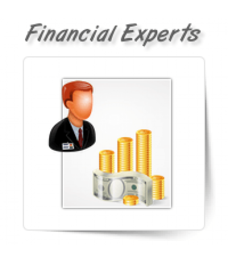 Financial Planning & Analysis Experts